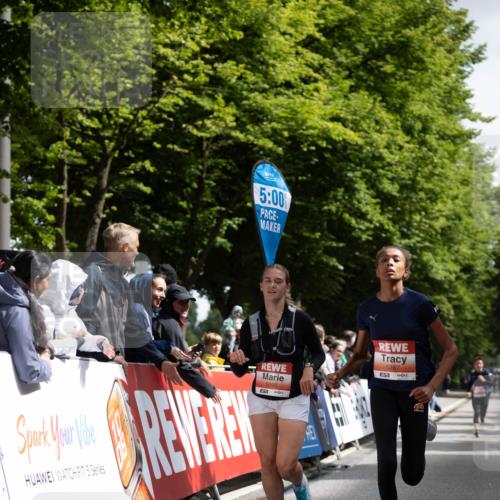 14.06.2026 - REWE Women's Run Michael Strokosch http://msf.ph/oto/9784808 14.06.2026 10:55:50 Laufen 5, 00, 5, 5695, 5287, 651 meine-sportfotos.de