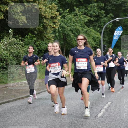 14.06.2026 - REWE Women's Run Jannik Wohlers http://msf.ph/oto/9794075 14.06.2026 09:54:07 Laufen 5, 3, 10344, 11155 meine-sportfotos.de