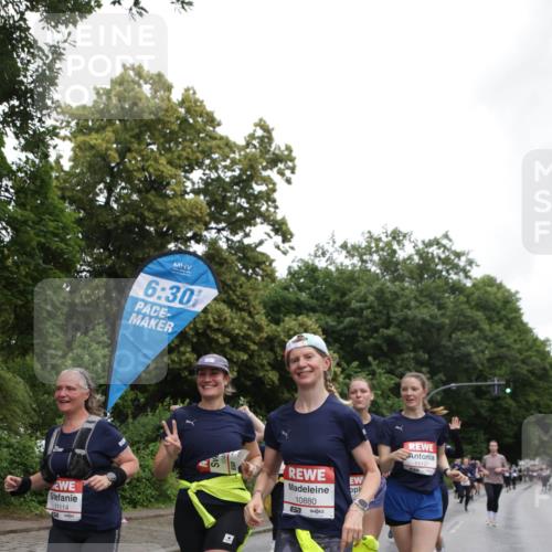 14.06.2026 - REWE Women's Run Jannik Wohlers http://msf.ph/oto/9797421 14.06.2026 10:00:42 Laufen 11114, 6, 30, 10880 meine-sportfotos.de