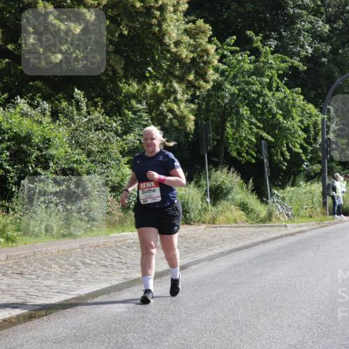 14.06.2026 - REWE Women's Run Jannik Wohlers http://msf.ph/oto/9803141 14.06.2026 10:17:54 Laufen  meine-sportfotos.de