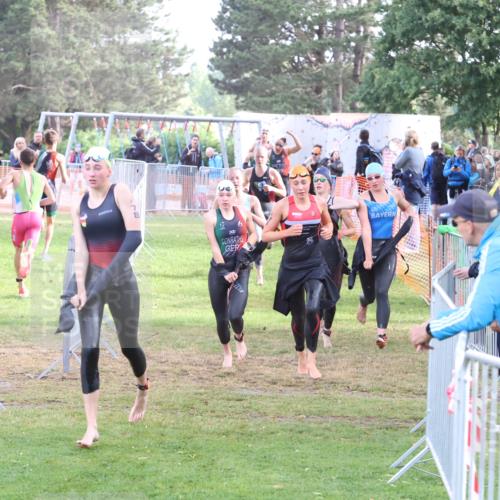 14.06.2026 - 7 Türme Triathlon Andreas Tolksdorf http://msf.ph/oto/9810588 14.06.2026 08:24:27 Schwimmen  meine-sportfotos.de