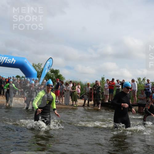 21.06.2026 - Viking Triathlon Michael Strokosch http://msf.ph/oto/9821721 21.06.2026 10:09:14 Schwimmen 127, 141, 155, 347, 385, 431, 502, 504, 529, 532, 538, 561, 631, 639, 646, 670 meine-sportfotos.de