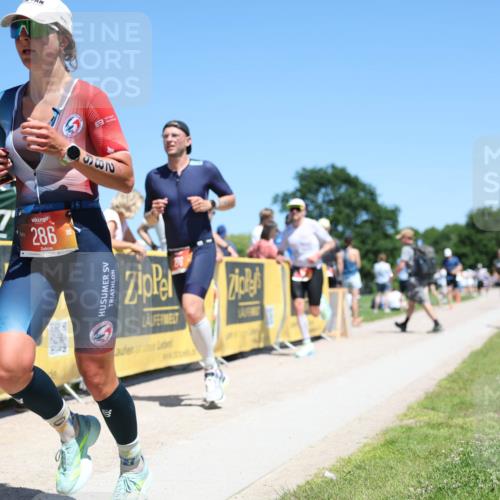 21.06.2026 - Viking Triathlon Michael Strokosch http://msf.ph/oto/9836455 21.06.2026 14:19:16 Laufen 74, 251, 276, 286, 352, 627, 648 meine-sportfotos.de