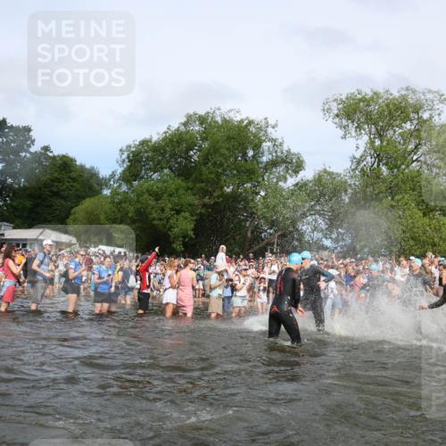 21.06.2026 - Viking Triathlon Michael Strokosch http://msf.ph/oto/9841663 21.06.2026 10:01:13 Schwimmen 5, 18, 65, 89, 114, 169, 242, 270, 280, 337, 342, 383, 447, 486, 527 meine-sportfotos.de