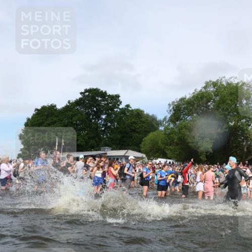 21.06.2026 - Viking Triathlon Michael Strokosch http://msf.ph/oto/9841671 21.06.2026 10:01:14 Schwimmen 5, 18, 65, 89, 114, 131, 169, 242, 270, 271, 280, 342, 383, 447, 486 meine-sportfotos.de