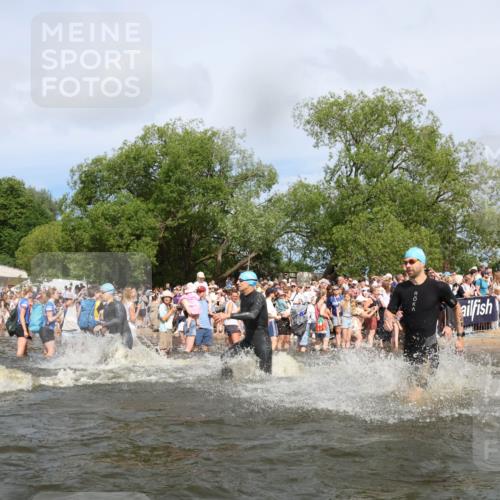 21.06.2026 - Viking Triathlon Michael Strokosch http://msf.ph/oto/9842328 21.06.2026 10:03:09 Schwimmen 49, 68, 80, 82, 170, 199, 200, 208, 348, 352, 356, 404, 467, 545, 612 meine-sportfotos.de