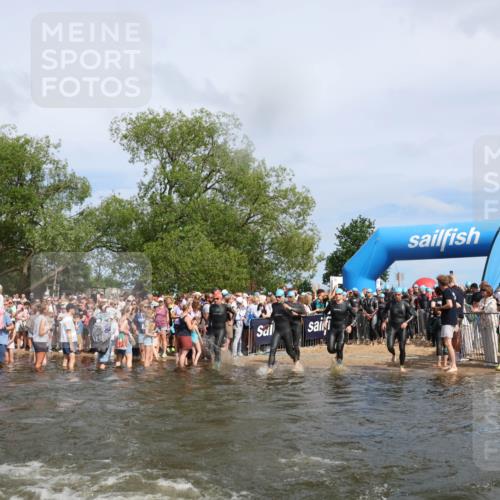 21.06.2026 - Viking Triathlon Michael Strokosch http://msf.ph/oto/9842400 21.06.2026 10:03:22 Schwimmen 58, 68, 84, 118, 170, 202, 208, 328, 352, 364, 419, 455, 467, 487, 556, 667 meine-sportfotos.de