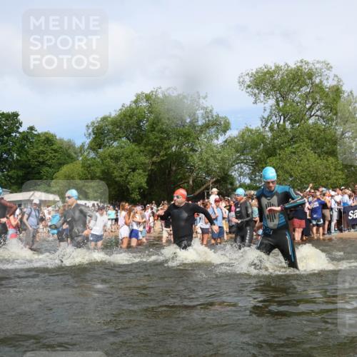21.06.2026 - Viking Triathlon Michael Strokosch http://msf.ph/oto/9842785 21.06.2026 10:05:01 Schwimmen 214, 225, 297, 304, 318, 350, 353, 442, 456, 461, 492, 497, 508, 516, 650 meine-sportfotos.de