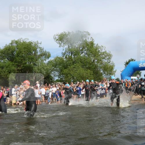 21.06.2026 - Viking Triathlon Michael Strokosch http://msf.ph/oto/9843000 21.06.2026 10:06:23 Schwimmen 41, 72, 85, 184, 190, 212, 248, 274, 312, 378, 415, 489, 522, 533, 539, 550, 577, 603 meine-sportfotos.de