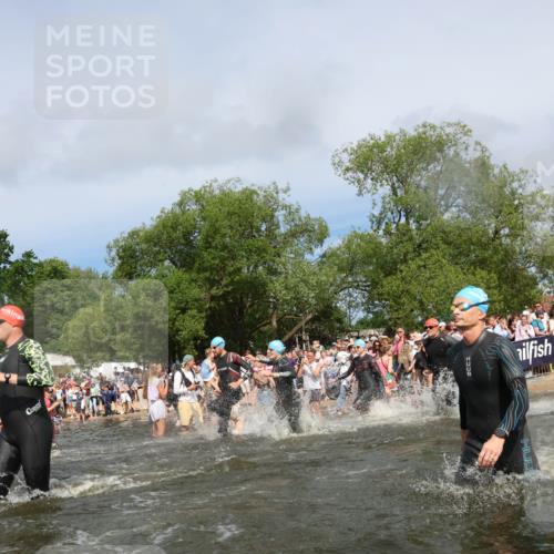 21.06.2026 - Viking Triathlon Michael Strokosch http://msf.ph/oto/9843182 21.06.2026 10:07:34 Schwimmen 24, 66, 107, 164, 253, 258, 275, 306, 313, 346, 366, 540, 605, 628, 659 meine-sportfotos.de