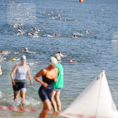 21.06.2026 - 29. Vierlanden-Triathlon LAZAROV Photography http://msf.ph/oto/9859813 21.06.2026 08:36:26 Schwimmen  meine-sportfotos.de