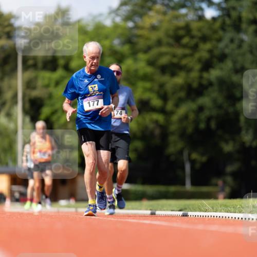 08.08.2026 - Nacht der Zehner Michael Strokosch http://msf.ph/oto/9927446 08.08.2026 14:59:48 Laufen 177, 74 meine-sportfotos.de