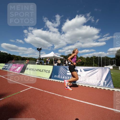 08.08.2026 - Nacht der Zehner Michael Strokosch http://msf.ph/oto/9927637 08.08.2026 15:53:08 Laufen  meine-sportfotos.de