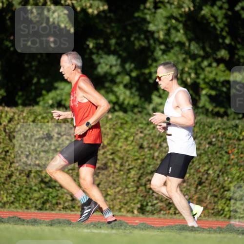 08.08.2026 - Nacht der Zehner Michael Strokosch http://msf.ph/oto/9928938 08.08.2026 18:26:46 Laufen  meine-sportfotos.de