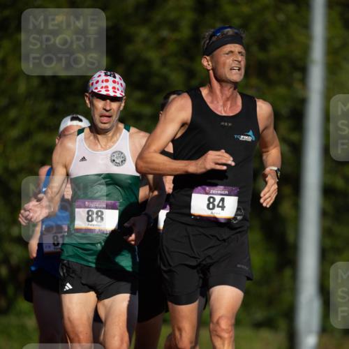08.08.2026 - Nacht der Zehner Michael Strokosch http://msf.ph/oto/9929316 08.08.2026 18:38:01 Laufen 81, 88, 84 meine-sportfotos.de