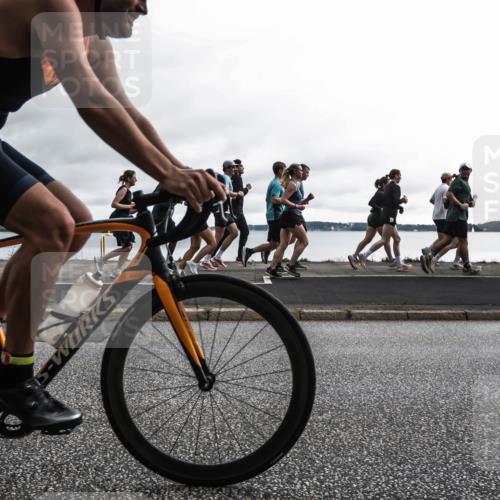 16.08.2026 - KN Förde Triathlon 2026 H.Heesch http://msf.ph/oto/9972779 16.08.2026 11:09:27 Radfahren 221, 302, 349, 356, 357, 369, 397, 441 meine-sportfotos.de
