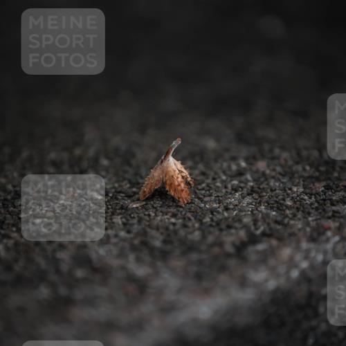 16.08.2026 - KN Förde Triathlon 2026 H.Heesch http://msf.ph/oto/9981300 16.08.2026 11:59:34 Radfahren  meine-sportfotos.de