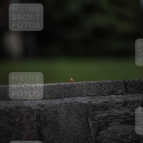16.08.2026 - KN Förde Triathlon 2026 H.Heesch http://msf.ph/oto/9981347 16.08.2026 12:43:04 Radfahren  meine-sportfotos.de