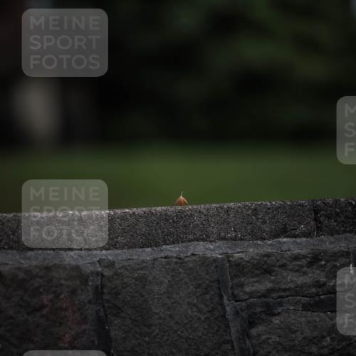 16.08.2026 - KN Förde Triathlon 2026 H.Heesch http://msf.ph/oto/9981348 16.08.2026 12:43:04 Radfahren  meine-sportfotos.de