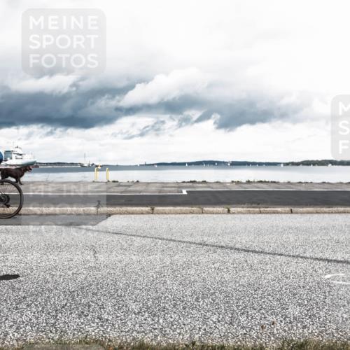 16.08.2026 - KN Förde Triathlon 2026 H.Heesch http://msf.ph/oto/9982946 16.08.2026 12:57:54 Radfahren 510, 525, 542, 589, 602, 746 meine-sportfotos.de