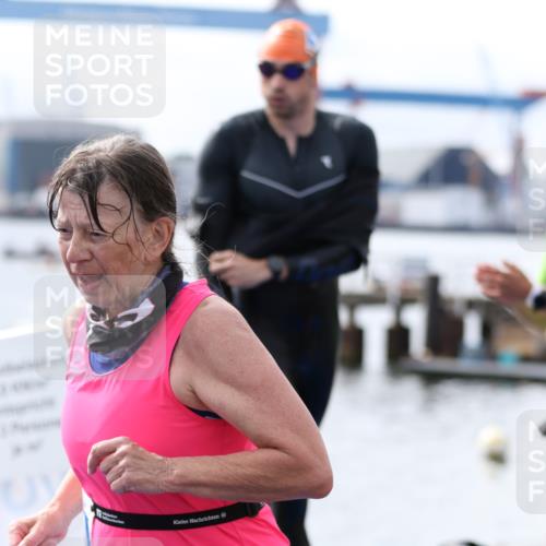16.08.2026 - KN Förde Triathlon 2026 Antke Förster http://msf.ph/oto/9995244 16.08.2026 10:53:30 Schwimmen 304, 305, 307, 308, 311, 319, 325, 441 meine-sportfotos.de