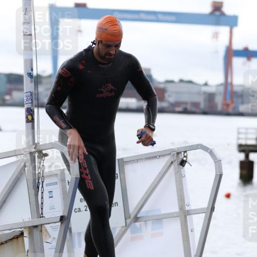 16.08.2026 - KN Förde Triathlon 2026 Antke Förster http://msf.ph/oto/9995284 16.08.2026 10:54:35 Schwimmen 312, 313, 330, 309, 314, 317 meine-sportfotos.de