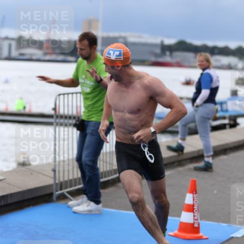 16.08.2026 - KN Förde Triathlon 2026 Antke Förster http://msf.ph/oto/9998155 16.08.2026 12:47:49 Schwimmen 565, 567, 572, 573, 579, 583, 702, 707, 712, 568, 733 meine-sportfotos.de