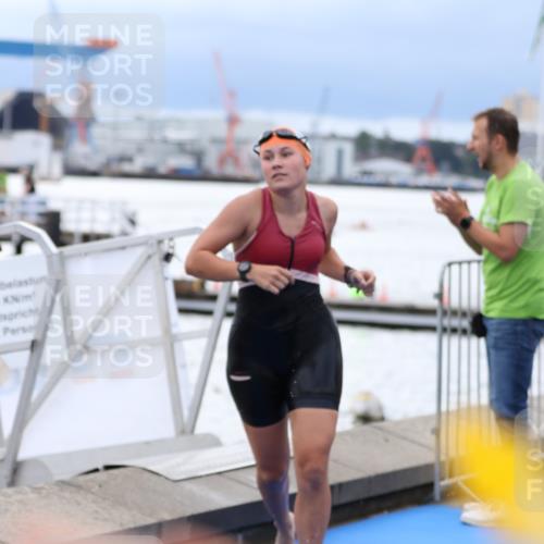 16.08.2026 - KN Förde Triathlon 2026 Antke Förster http://msf.ph/oto/9998190 16.08.2026 12:49:04 Schwimmen 196, 584, 612, 576, 719 meine-sportfotos.de