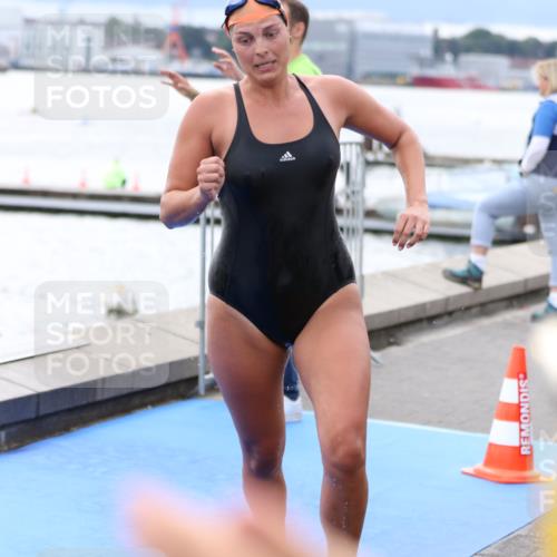 16.08.2026 - KN Förde Triathlon 2026 Antke Förster http://msf.ph/oto/9998282 16.08.2026 12:51:20 Schwimmen 713, 715, 718, 723, 724, 725, 729, 594, 725 meine-sportfotos.de
